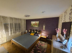 3 Rooms Apartment with Terrace & Beautiful View